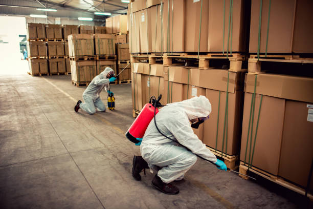 Best Flea Control Services  in Melrose Park, NY