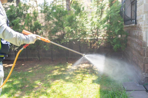 Best Wasp Removal Services  in Melrose Park, NY