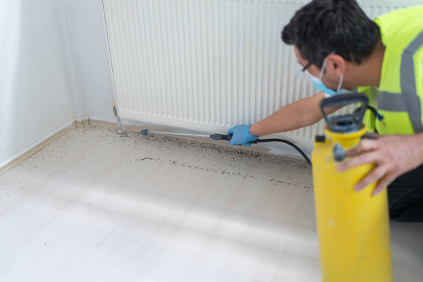 Best Termite Control Services  in Melrose Park, NY